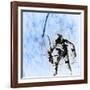 First American EVA, Gemini 4 Mission, 1965-Science Source-Framed Giclee Print