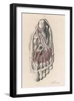 First and Second Stages of the Dissection of the Sole of the Foot-G.h. Ford-Framed Art Print