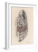 First and Second Stages of the Dissection of the Sole of the Foot-G.h. Ford-Framed Art Print