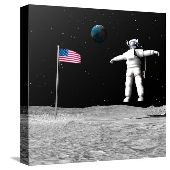 Stretched Canvas Print, , large