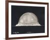 First Atomic Explosion on July 16-null-Framed Photo