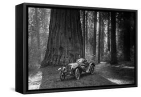 First Auto to Enter Sequoia National Park-null-Framed Stretched Canvas