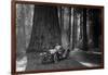 First Auto to Enter Sequoia National Park-null-Framed Art Print