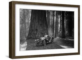 First Auto to Enter Sequoia National Park-null-Framed Art Print