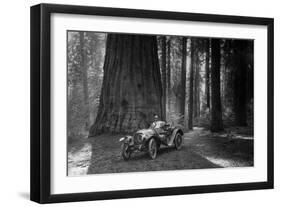 First Auto to Enter Sequoia National Park-null-Framed Art Print