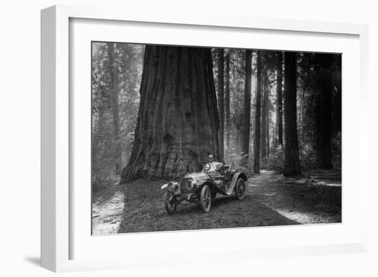 First Auto to Enter Sequoia National Park-null-Framed Art Print