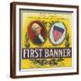 Brown Frame