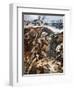 First Battle of the Somme (Colour Litho)-Stanley L. Wood-Framed Premium Giclee Print