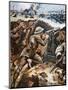 First Battle of the Somme (Colour Litho)-Stanley L. Wood-Mounted Premium Giclee Print