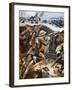 First Battle of the Somme (Colour Litho)-Stanley L. Wood-Framed Giclee Print