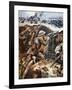 First Battle of the Somme (Colour Litho)-Stanley L. Wood-Framed Giclee Print