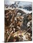 First Battle of the Somme (Colour Litho)-Stanley L. Wood-Mounted Giclee Print