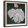 First Blooms, 2012-Helen White-Framed Giclee Print