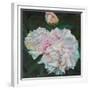 First Blooms, 2012-Helen White-Framed Giclee Print