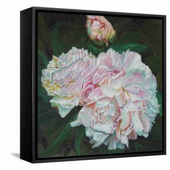 First Blooms, 2012-Helen White-Framed Stretched Canvas