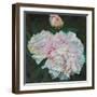 First Blooms, 2012-Helen White-Framed Giclee Print