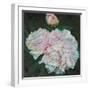 First Blooms, 2012-Helen White-Framed Giclee Print