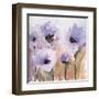 First Blush Blossom-Karin Johannesson-Framed Art Print