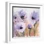 First Blush Blossom-Karin Johannesson-Framed Art Print