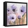 First Blush Blossom-Karin Johannesson-Framed Stretched Canvas