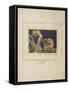 First Book of Urizen Pl. 17-William Blake-Framed Stretched Canvas