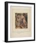 First Book of Urizen Pl. 6-William Blake-Framed Giclee Print