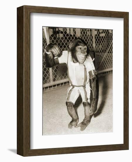 First Chimpanzee In Space-null-Framed Photographic Print
