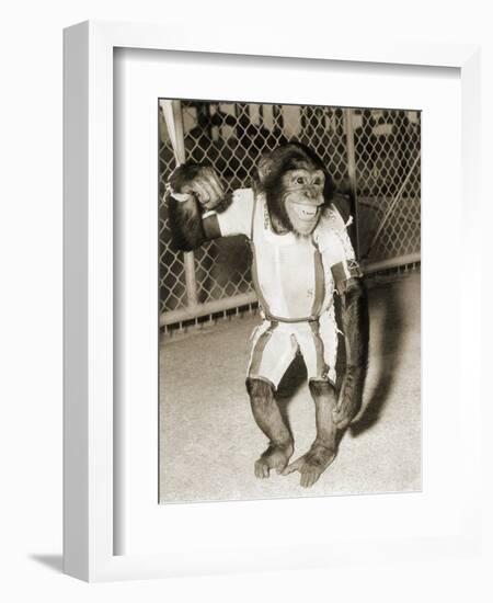 First Chimpanzee In Space-null-Framed Photographic Print