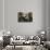 First Class Lounge, Scythia, 20th Century (Photo)-null-Giclee Print displayed on a wall