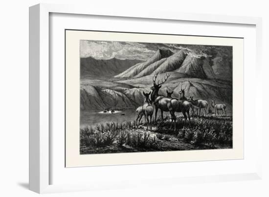 First Come, First Served! Deer-William de la Montagne Cary-Framed Giclee Print