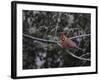 First Day of Snow-Jai Johnson-Framed Giclee Print