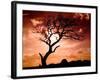 First Day-Mark James Gaylard-Framed Photographic Print