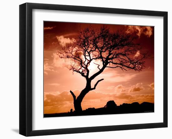 First Day-Mark James Gaylard-Framed Photographic Print