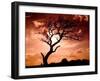 First Day-Mark James Gaylard-Framed Photographic Print