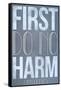 First Do No Harm Poster-null-Framed Stretched Canvas