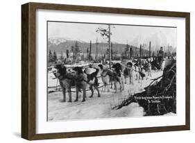 First Dog Team to go from Nome to Seward Photograph - Seward, AK-Lantern Press-Framed Art Print