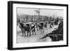 First Dog Team to go from Nome to Seward Photograph - Seward, AK-Lantern Press-Framed Art Print