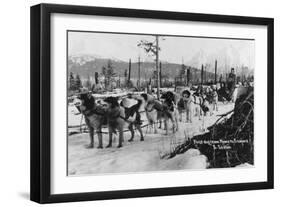 First Dog Team to go from Nome to Seward Photograph - Seward, AK-Lantern Press-Framed Art Print