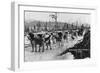 First Dog Team to go from Nome to Seward Photograph - Seward, AK-Lantern Press-Framed Art Print