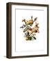 First Down-Norman Rockwell-Framed Art Print