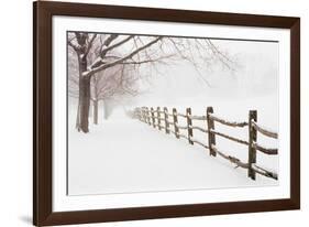 First Fall-Bill Coleman-Framed Giclee Print