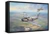 First Flight - Temora-John Bradley-Framed Stretched Canvas