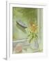 First Flowers and Shells-Timothy Easton-Framed Giclee Print