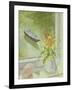 First Flowers and Shells-Timothy Easton-Framed Giclee Print