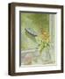 First Flowers and Shells-Timothy Easton-Framed Giclee Print