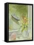 First Flowers and Shells-Timothy Easton-Framed Stretched Canvas