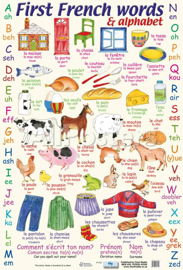 'First French Words & Alphabet' Poster | AllPosters.com