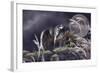 First Frost-Gordon Semmens-Framed Giclee Print