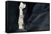 First glimpse of the red sandstone walls of Al-Khazneh (the Treasury), viewed through the narrow...-null-Framed Stretched Canvas