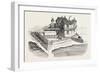 First House Erected in Quebec, Canada, 1870s-null-Framed Giclee Print